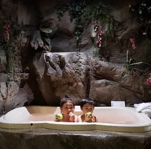 Meet your Posher, Janet